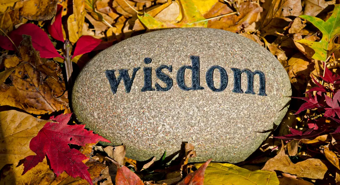 Wisdom dispels ignorance, revealing the causes of suffering and ending its effects, leading step by step along the path to liberation.